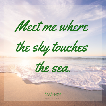 meet me where the sky touches the sea | seashore realty