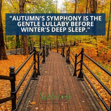 Embrace the Autumn Season with These 10 Heartwarming Quotes | SeaShore Realty
