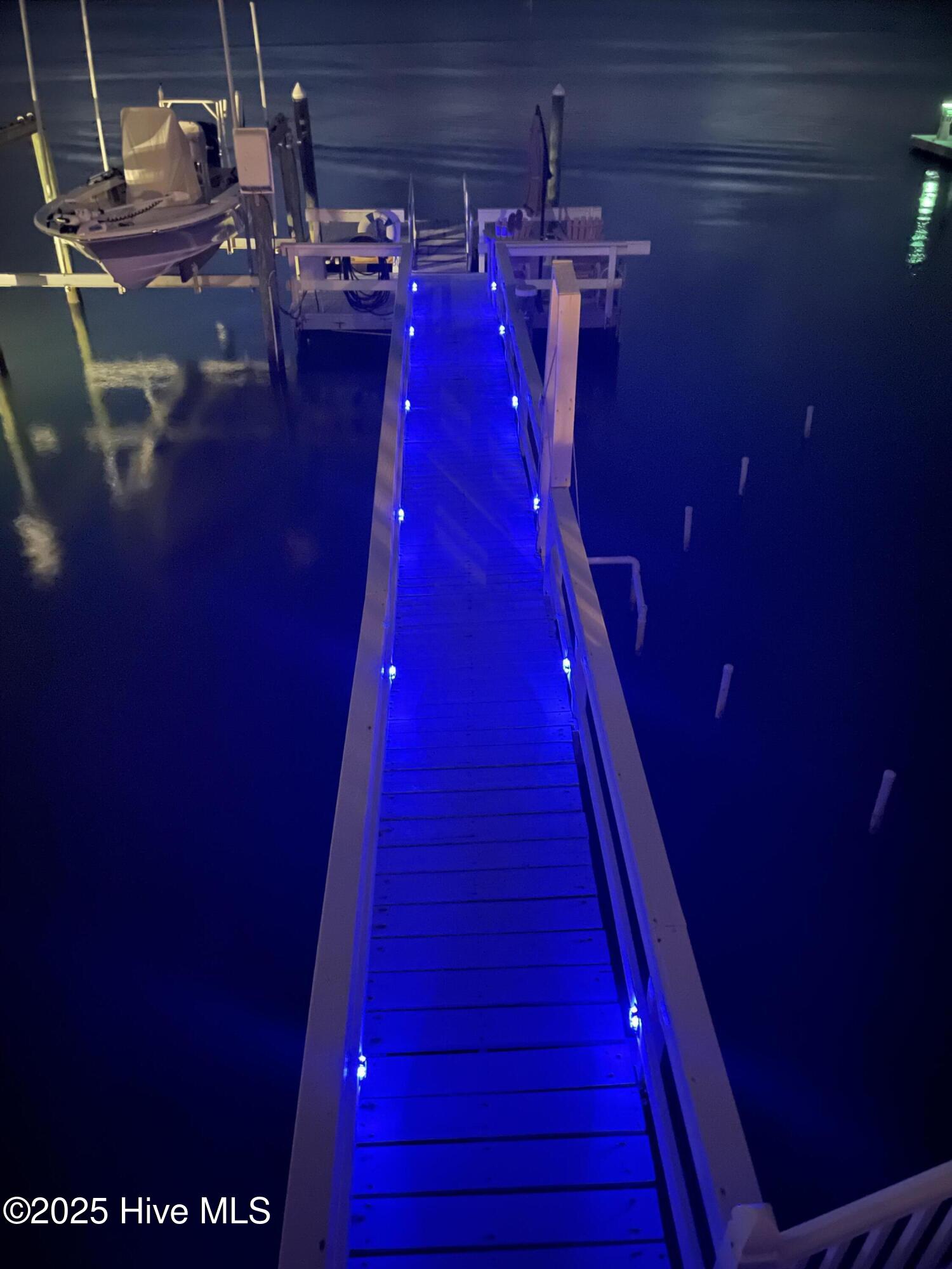 10051050029
