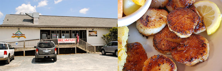 Sears Landing Grill and Boat Docks