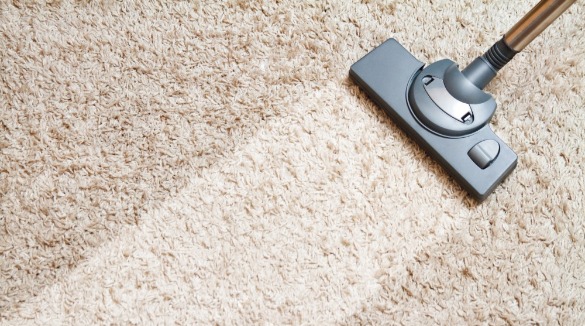 carpets being cleaned | SeaShore Realty