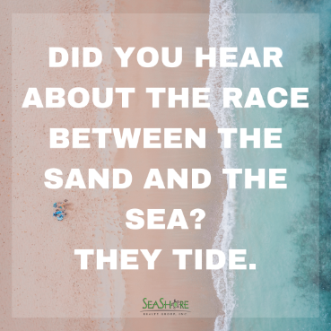 the best beach jokes to make you laugh | seashore realty