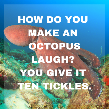 beach jokes to make you laugh | seashore realty