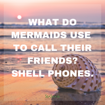 beach jokes to make you laugh | seashore realty