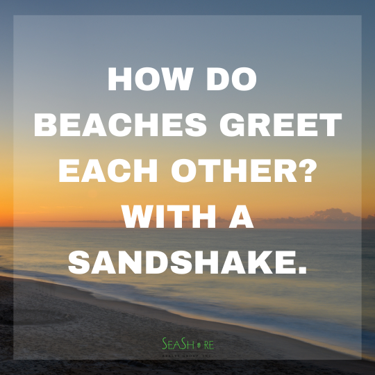 beach jokes to make you laugh | seashore realty
