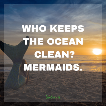 beach jokes to make you laugh | seashore realty