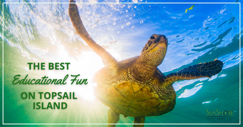the best educational fun on topsail island | seashore realty