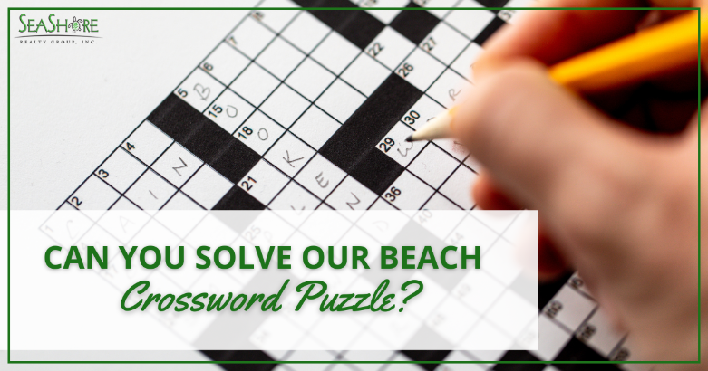 can you solve our beach crossword puzzle | seashore realty