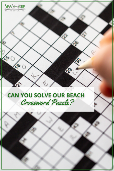 can you solve our beach crossword puzzle | seashore realty