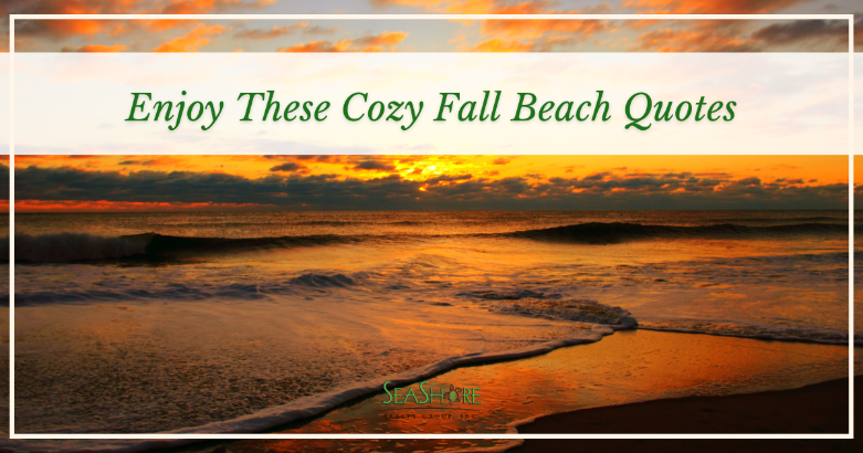 enjoy these cozy fall beach quotes | seashore realty