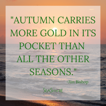 autumn carries more gold in its pocket than all the other seasons | seashore realty