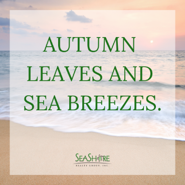 autumn leaves and sea breezes | seashore realty