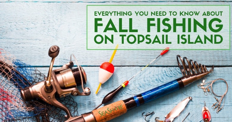 Everything You Need to Know About Fall Fishing on Topsail Island | Seashore Realty