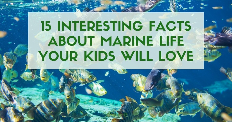 15 Interesting Facts About Marine Life Your Kids Will Love 15 Interesting Facts About Marine Life Your Kids Will Love