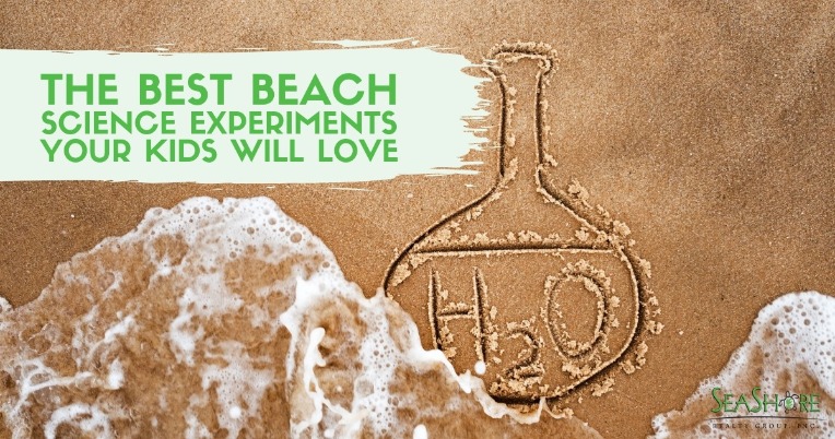 The Best Beach Science Experiments Your Kids Will Love | Seashore Realty