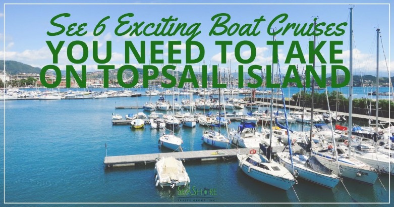 See 6 Exciting Boat Cruises You Need to Take on Topsail Island | SeaShore Realty