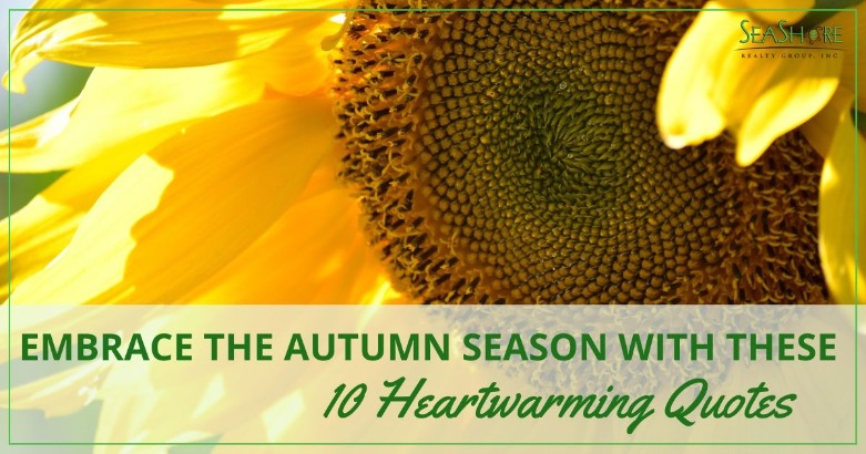 Embrace the Autumn Season with These 10 Heartwarming Quotes | SeaShore Realty