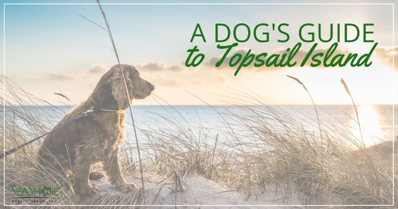 A Dog's Guide to Topsail Island