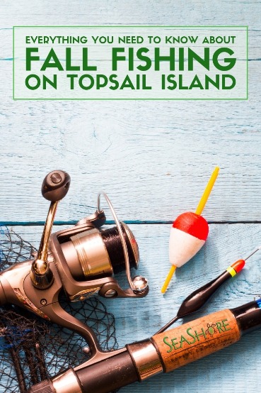 Everything You Need to Know About Fall Fishing on Topsail Island | Seashore Realty