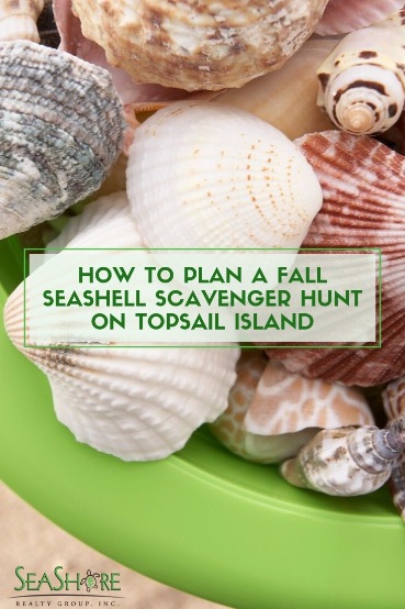 How to Plan A Fall Seashell Scavenger Hunt on Topsail Island | Seashore Realty