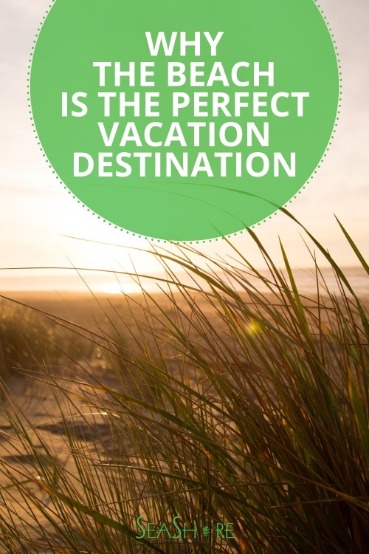 Why the Beach is the Perfect Vacation Destination