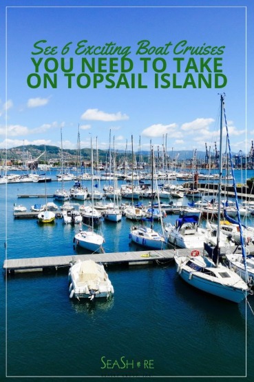 See 6 Exciting Boat Cruises You Need to Take on Topsail Island | SeaShore Realty