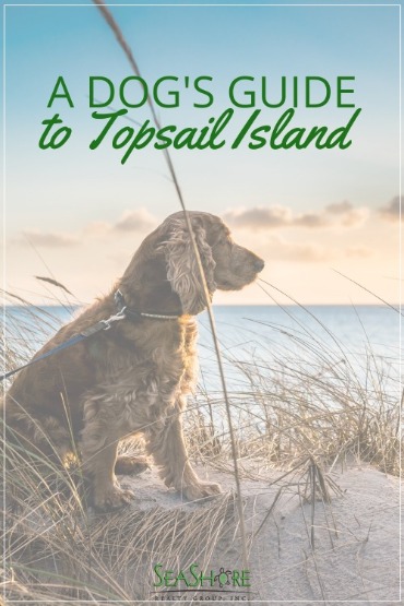 A Dog's Guide to Topsail Island