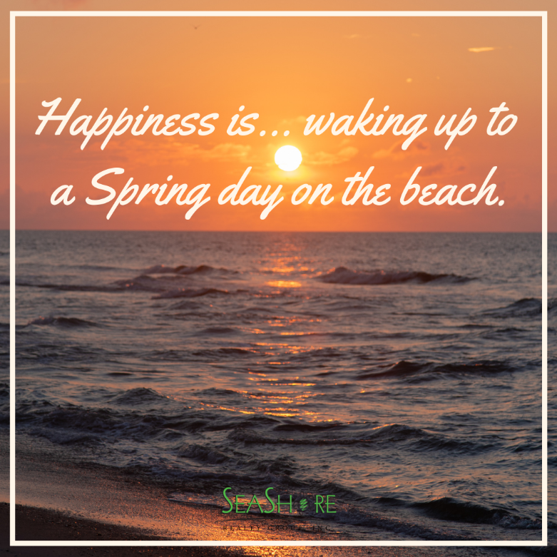 the best spring beach quotes to lift your spirits | seashore realty