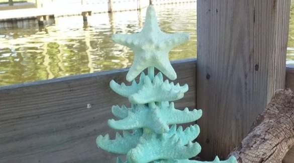 starfish tree | SeaShore Realty