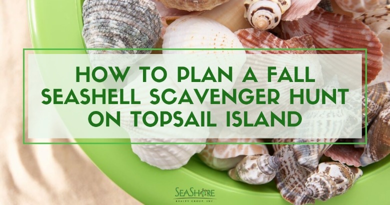 How to Plan A Fall Seashell Scavenger Hunt on Topsail Island | Seashore Realty