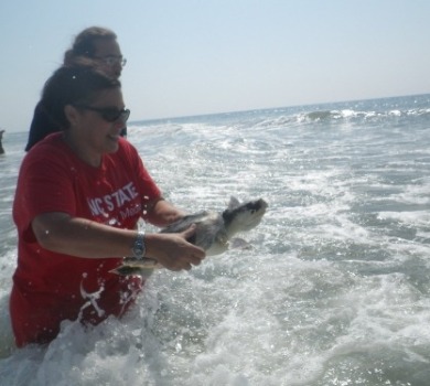 sea turtle rescue | Seashore Realty