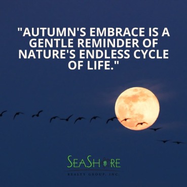 Embrace the Autumn Season with These 10 Heartwarming Quotes | SeaShore Realty