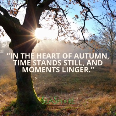 Embrace the Autumn Season with These 10 Heartwarming Quotes | SeaShore Realty