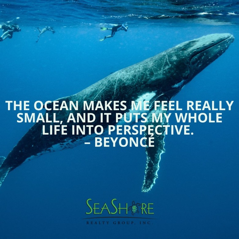 Inspire your Imagination for Summertime at the Beach with These 8 Beach Quotes | SeaShore Realty