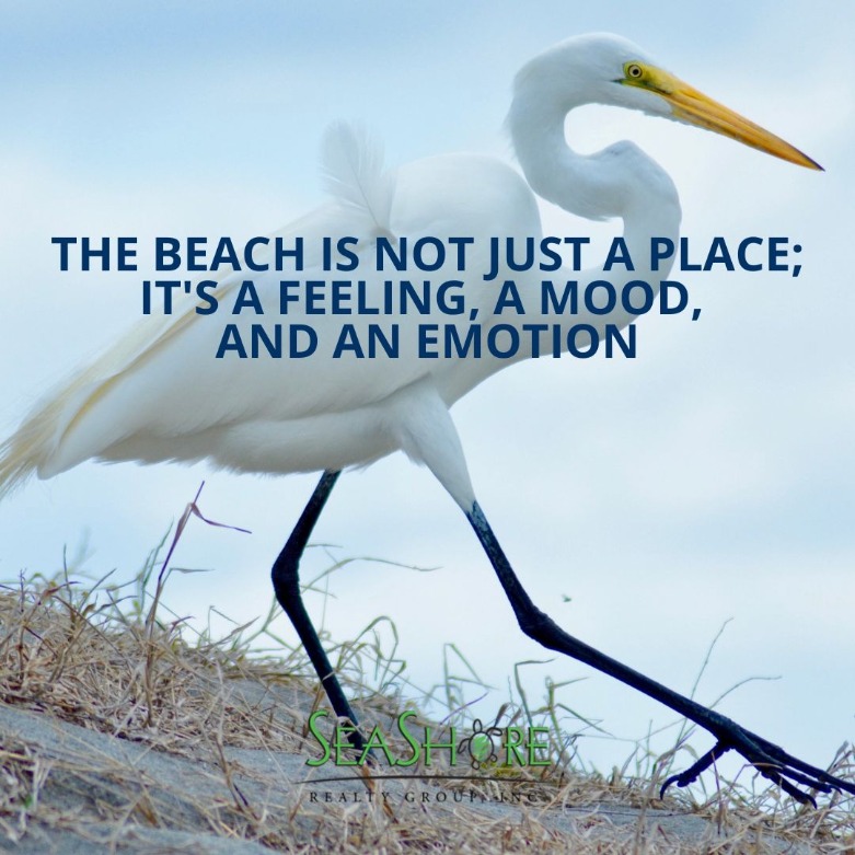 Inspire your Imagination for Summertime at the Beach with These 8 Beach Quotes | SeaShore Realty