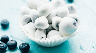 frozen yogurt dipped blueberry bites | seashore realty